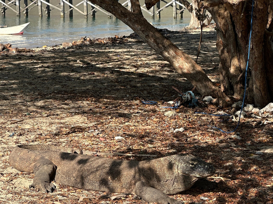 Atta's Travel-Gili Meno必去景点