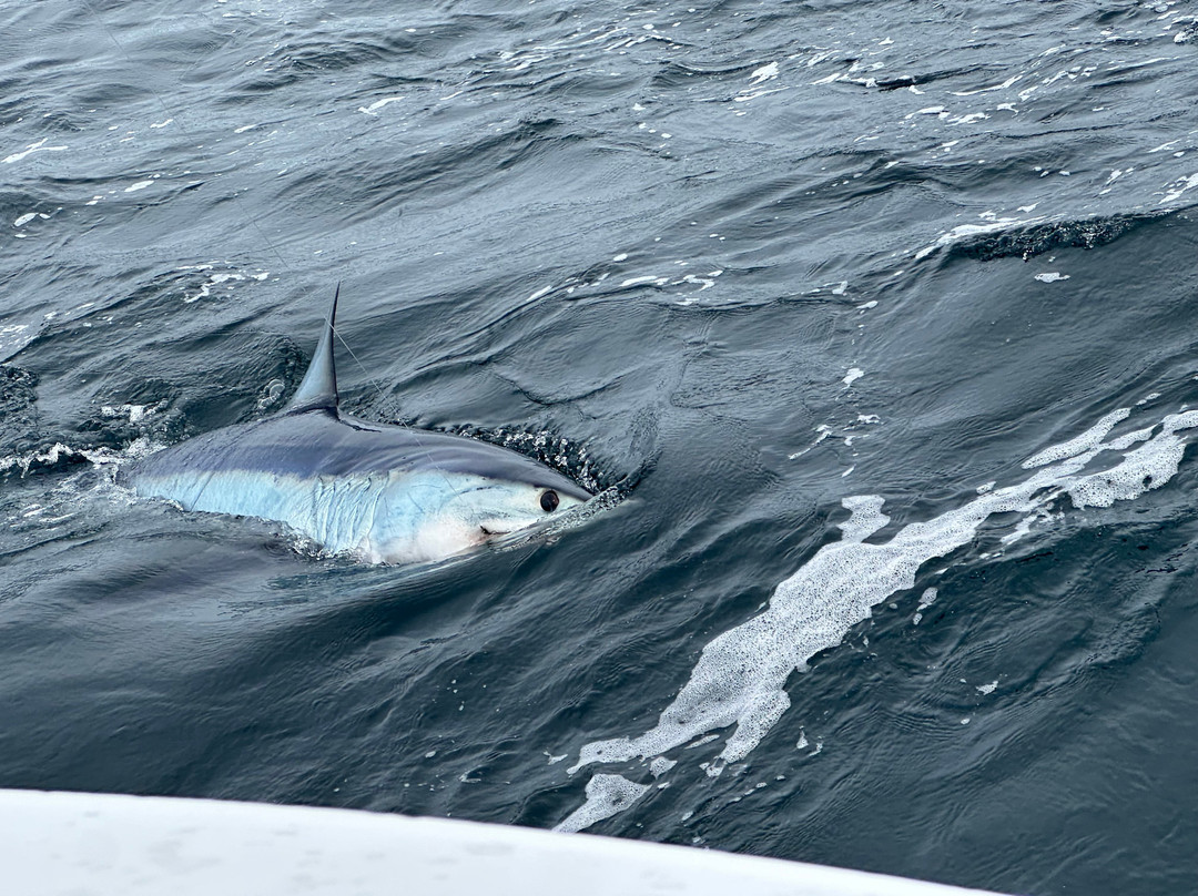 Reel Deal Fishing Charters-Truro必去景点