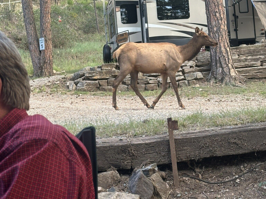 Pine Ridge Rv Park