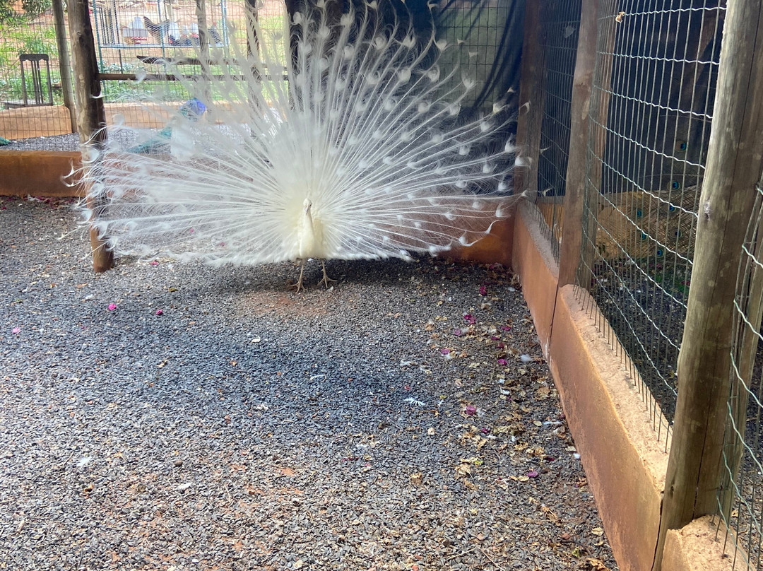 Fazendinha Zoomix-Franca必去景点