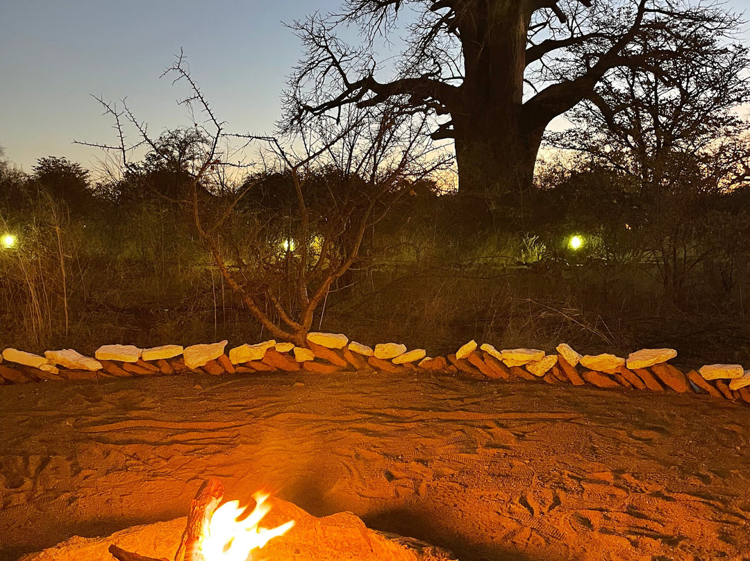 Africa's Best Adventures-开普敦必去景点