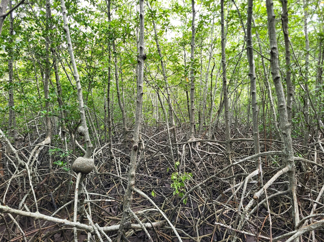 Sea-cret Cruises-蓬武里必去景点