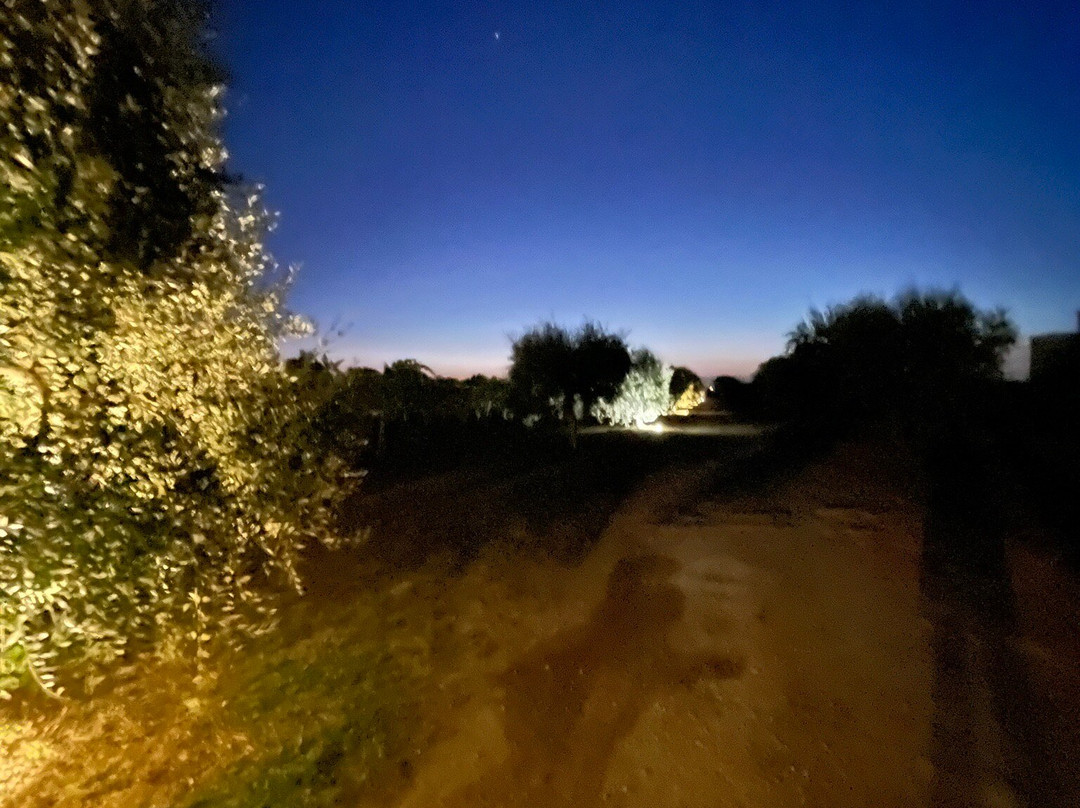 Masseria Giustiniani主图