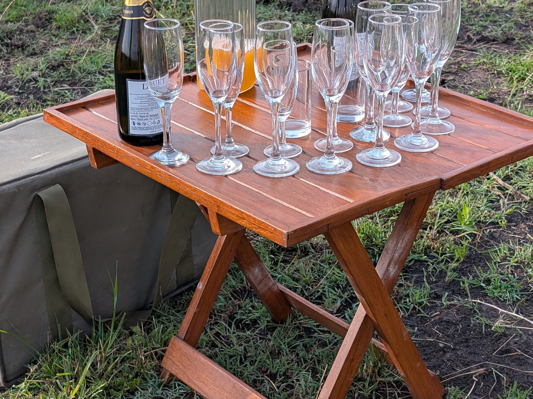 Adventures Aloft Balloon Safari Tanzania-Ikoma必去景点