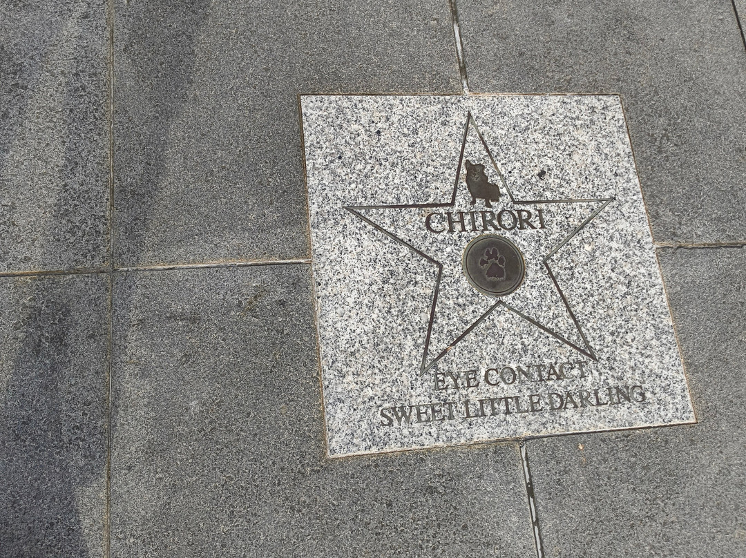 Tsukijigawa Ginza Park-Tsukiji必去景点