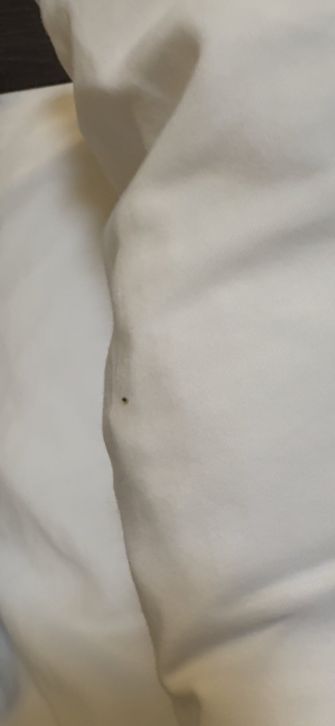 The Champlain Waterfront Hotel, Ascend Hotel Collection-客卧