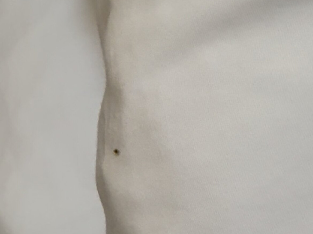 The Champlain Waterfront Hotel, Ascend Hotel Collection主图