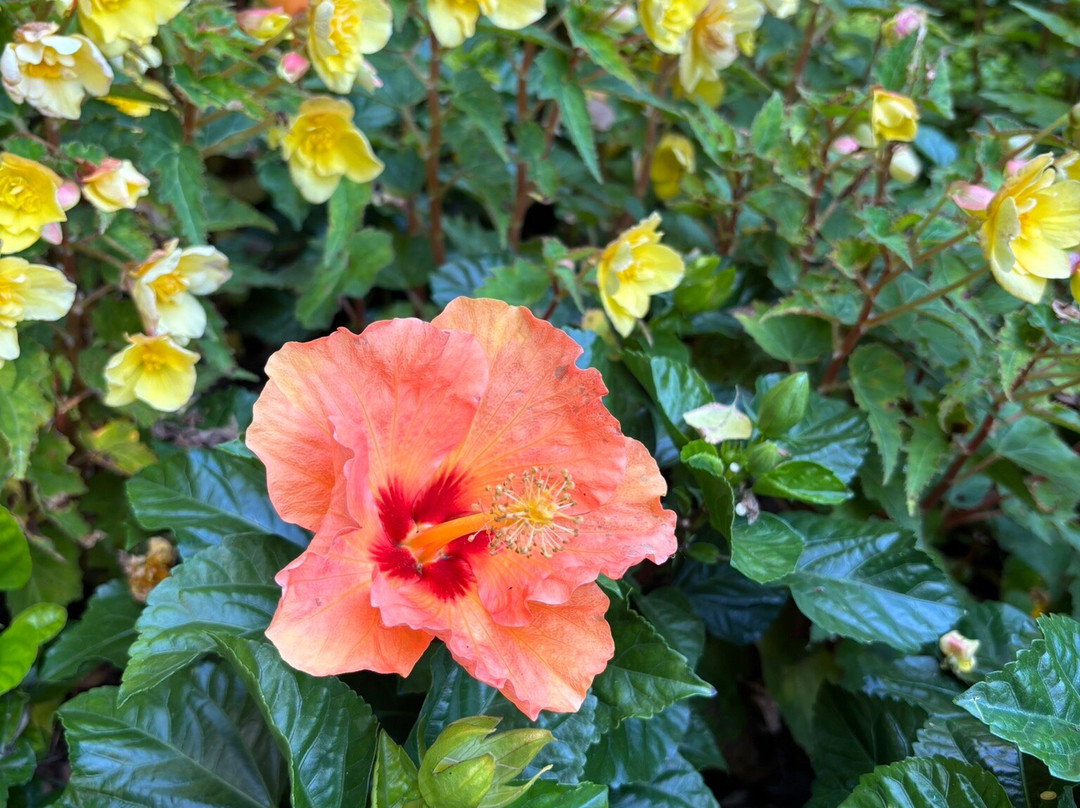 Cascate del Varone-Tenno必去景点