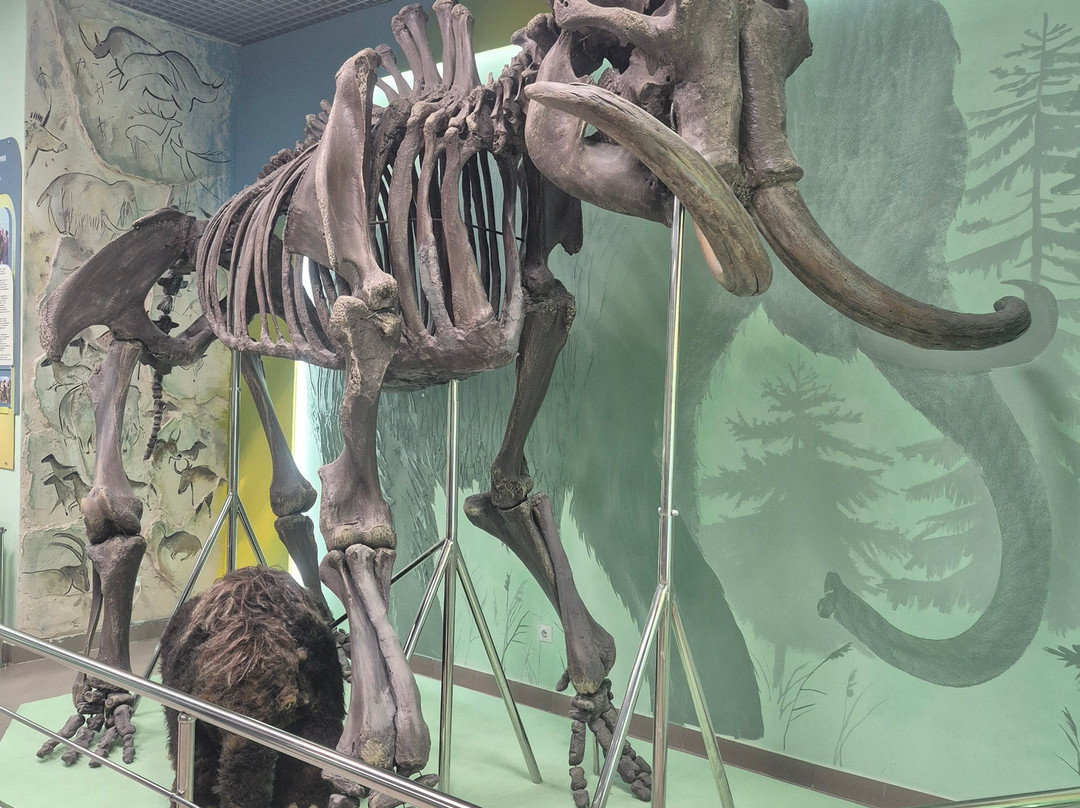 Omsk State Museum of History and Regional Studies-鄂木斯克必去景点