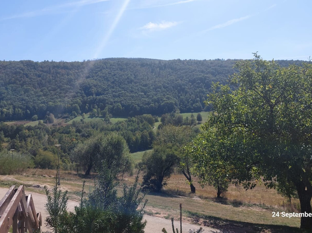 Belgrade Private Tour-贝尔格莱德必去景点