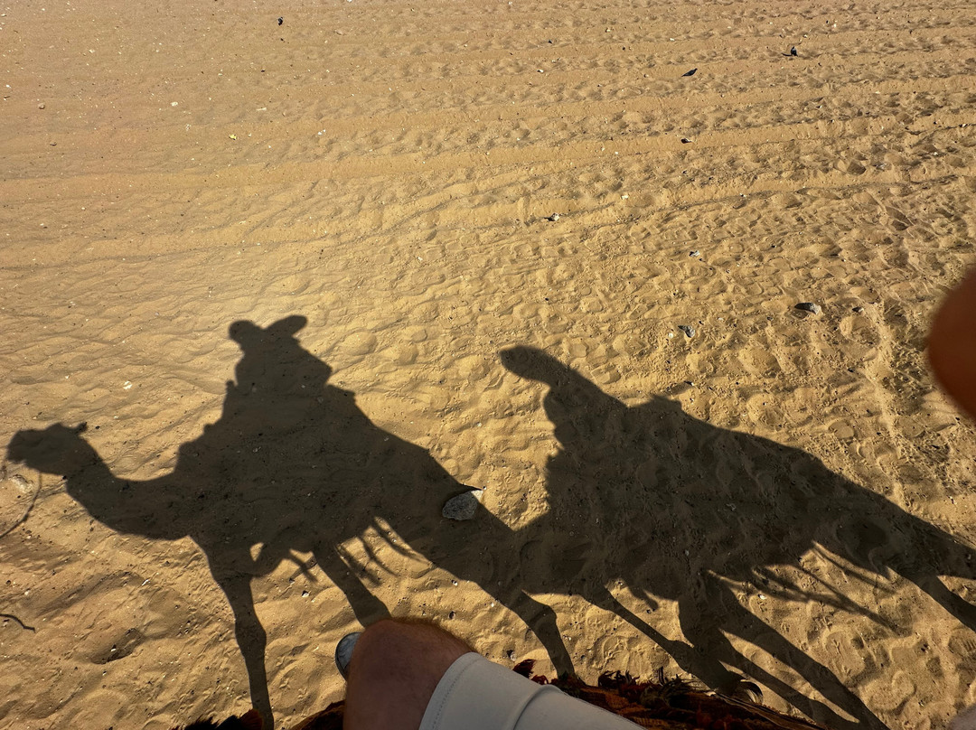 360 Excursions-沙姆沙伊赫必去景点