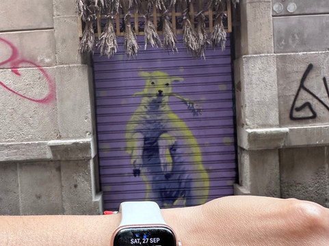 Nestra Center-巴塞罗那必去景点