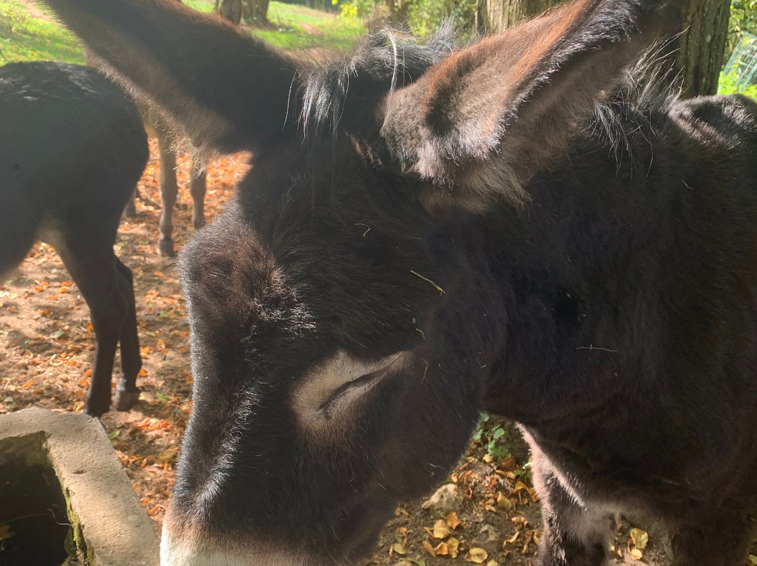 Git'Ane Evasion主图