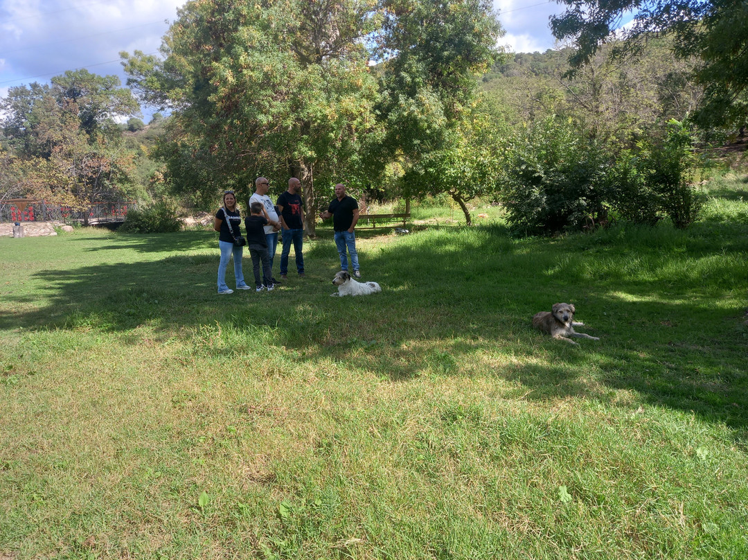 Sas Abbilas Agriturismo主图