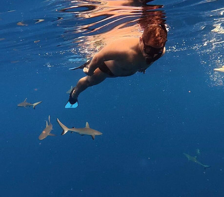 海洋生态游-凯鲁瓦-柯纳必去景点