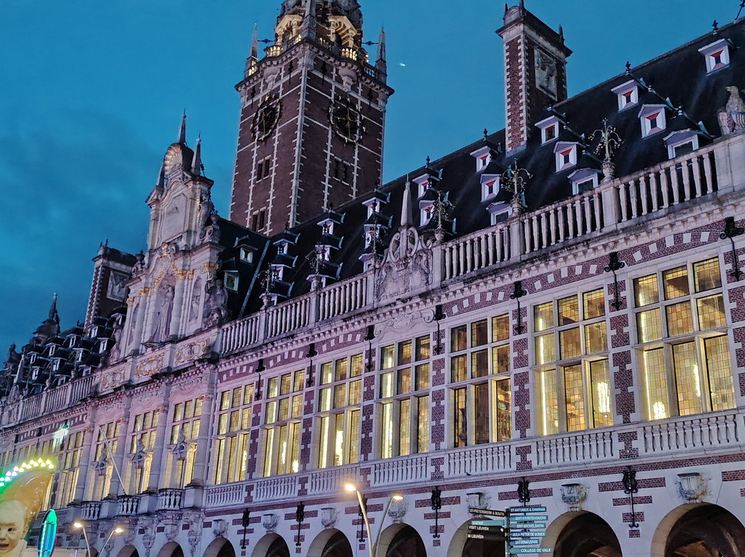 Historic Leuven Town Hall-鲁汶必去景点