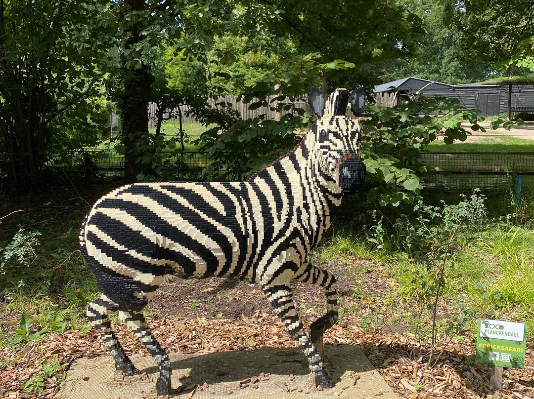 Zoo Planckendael-梅赫伦必去景点