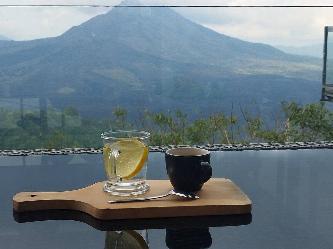 Bli Gojink Bali Professional Bali Driver-新加拉惹必去景点