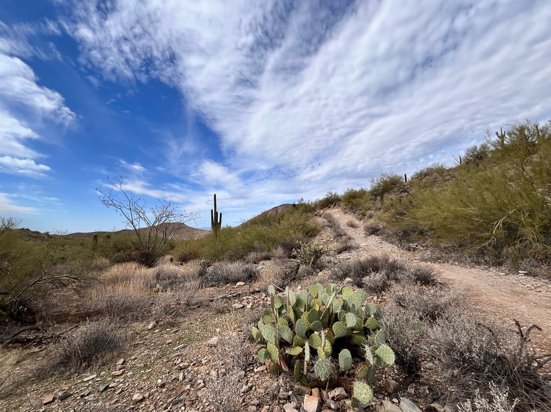 Lost Dog Wash Trail-斯科茨代尔必去景点