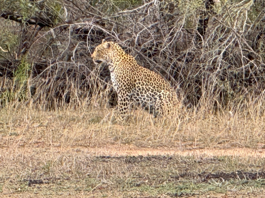 Honey Badger Safaris Kruger Tours-玛洛斯帕克必去景点