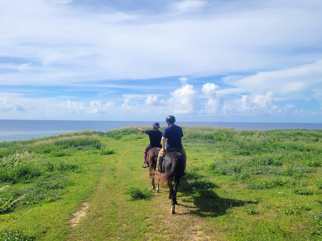 Esperanza Riding Company-维切克岛必去景点