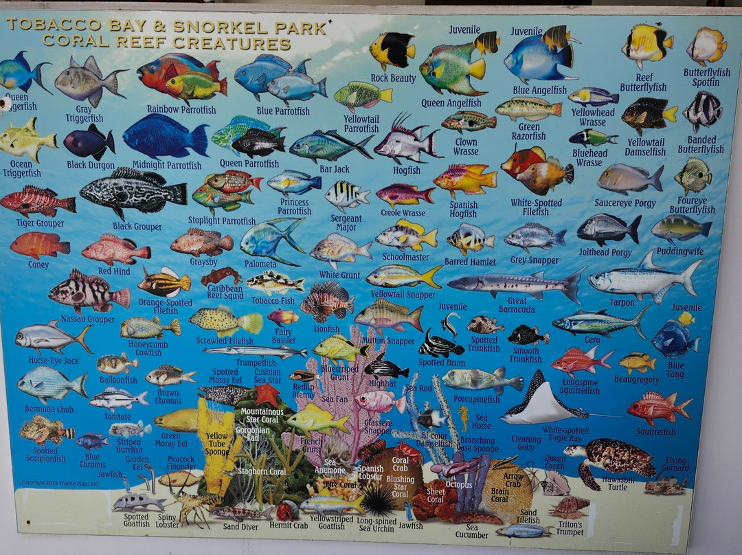 Snorkel Park Beach Club-Somerset Village必去景点