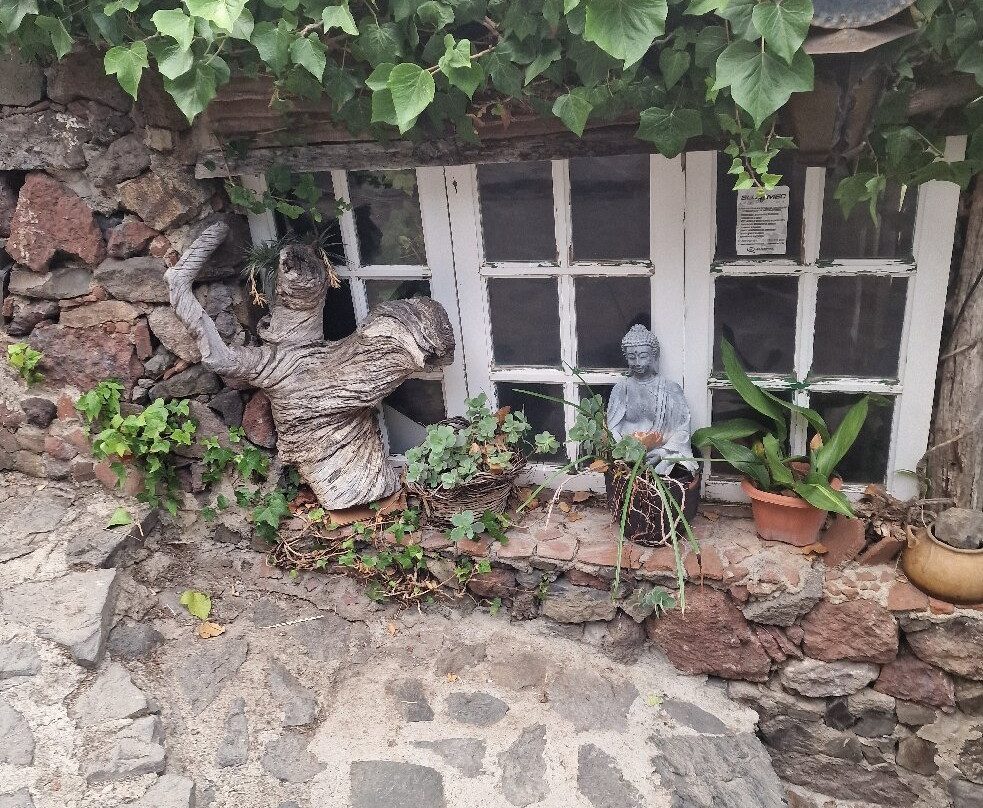 Adventures Tenerife-La Esperanza必去景点