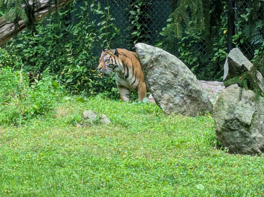 Greensboro Science Center-戈尔兹伯勒必去景点