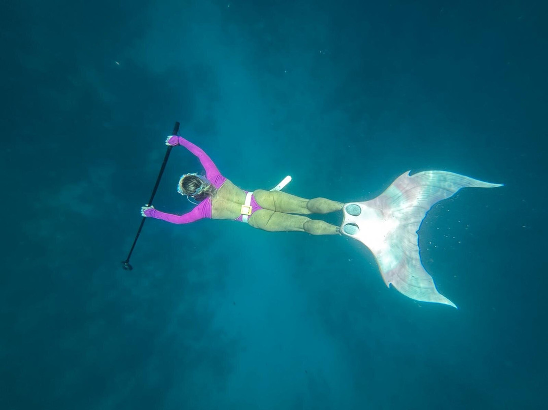 Blue Water Freediving School-伦敦必去景点