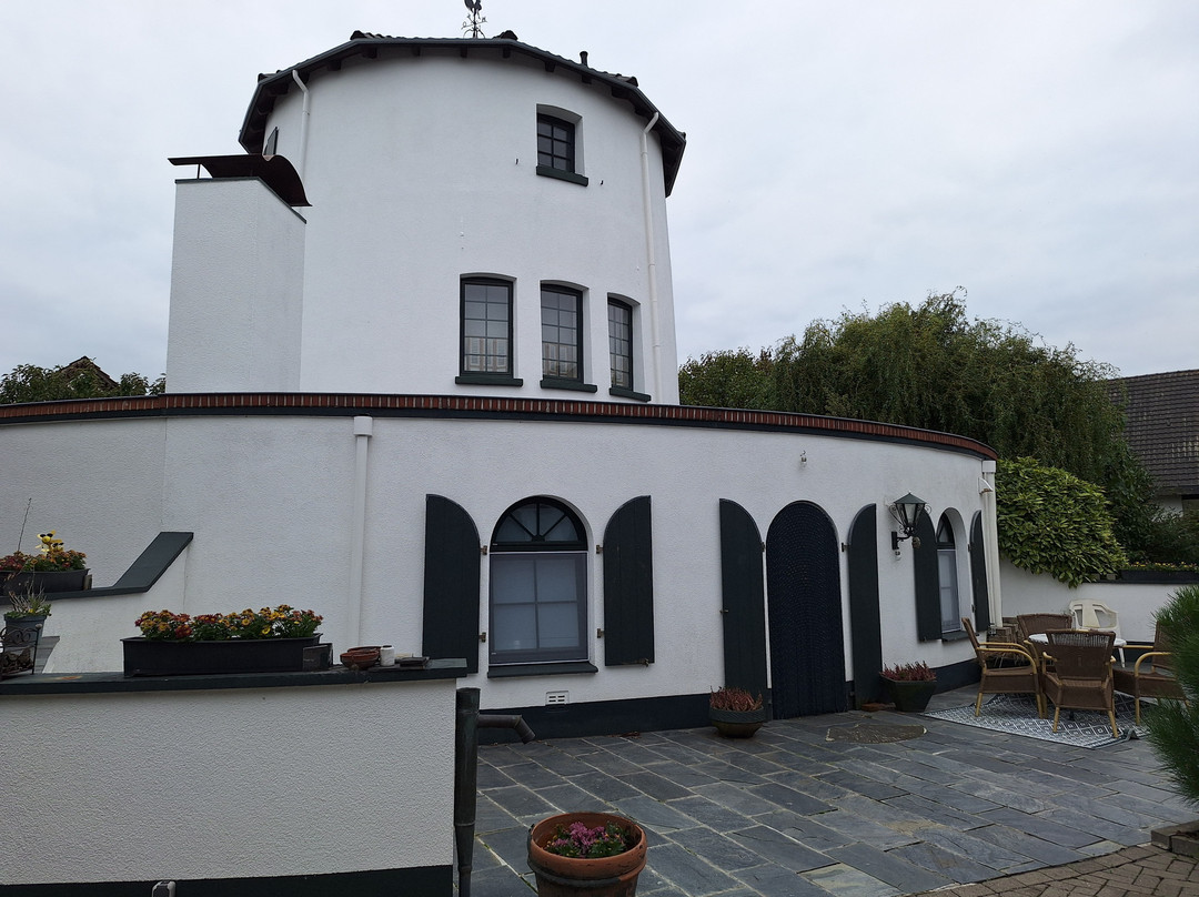 De Witte Molen主图