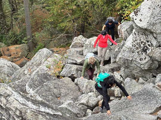 Adventure Untamed-纽约市必去景点
