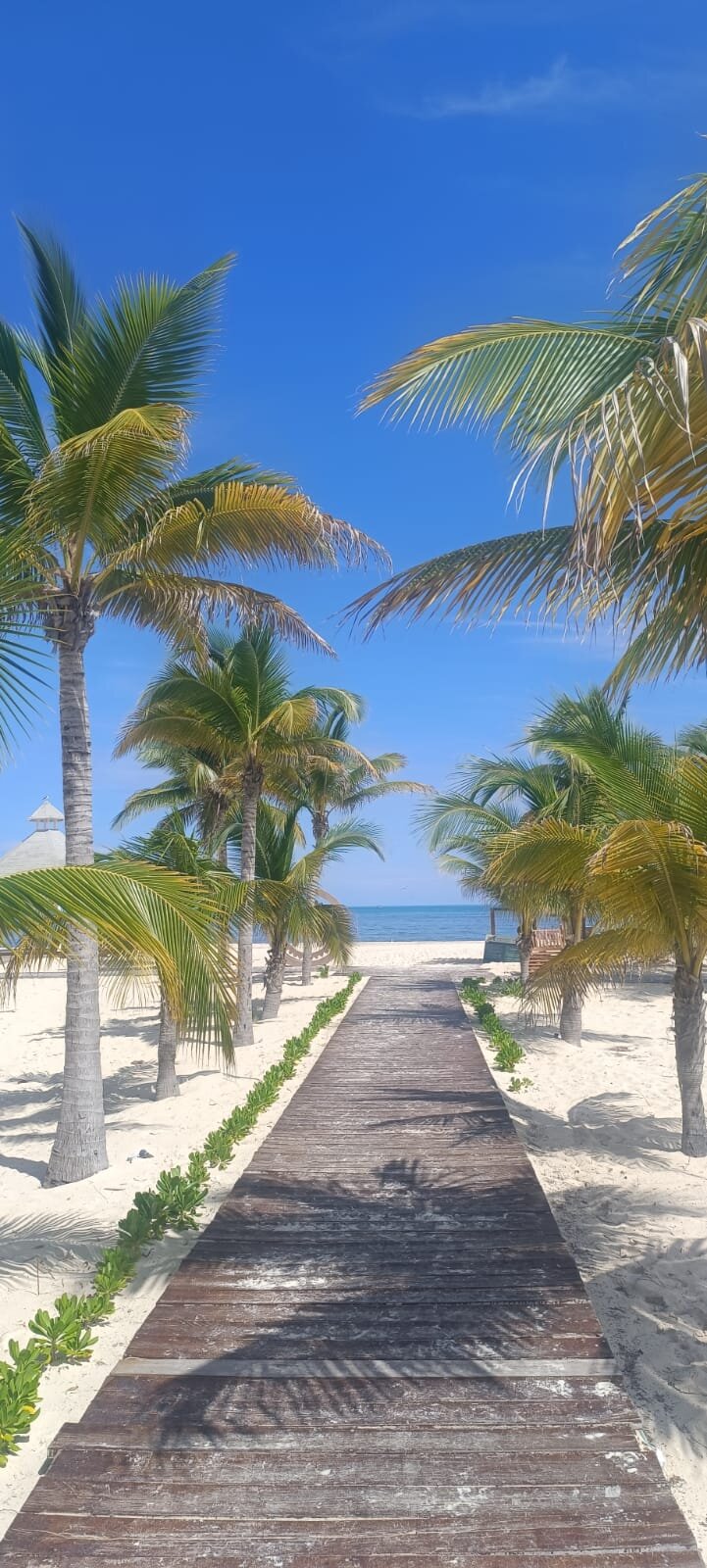 Majestic Elegance Costa Mujeres-泳池