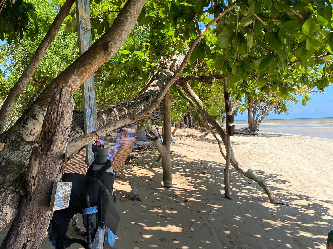 Boipeba Mergulho - Scuba Diving Center-Morere必去景点