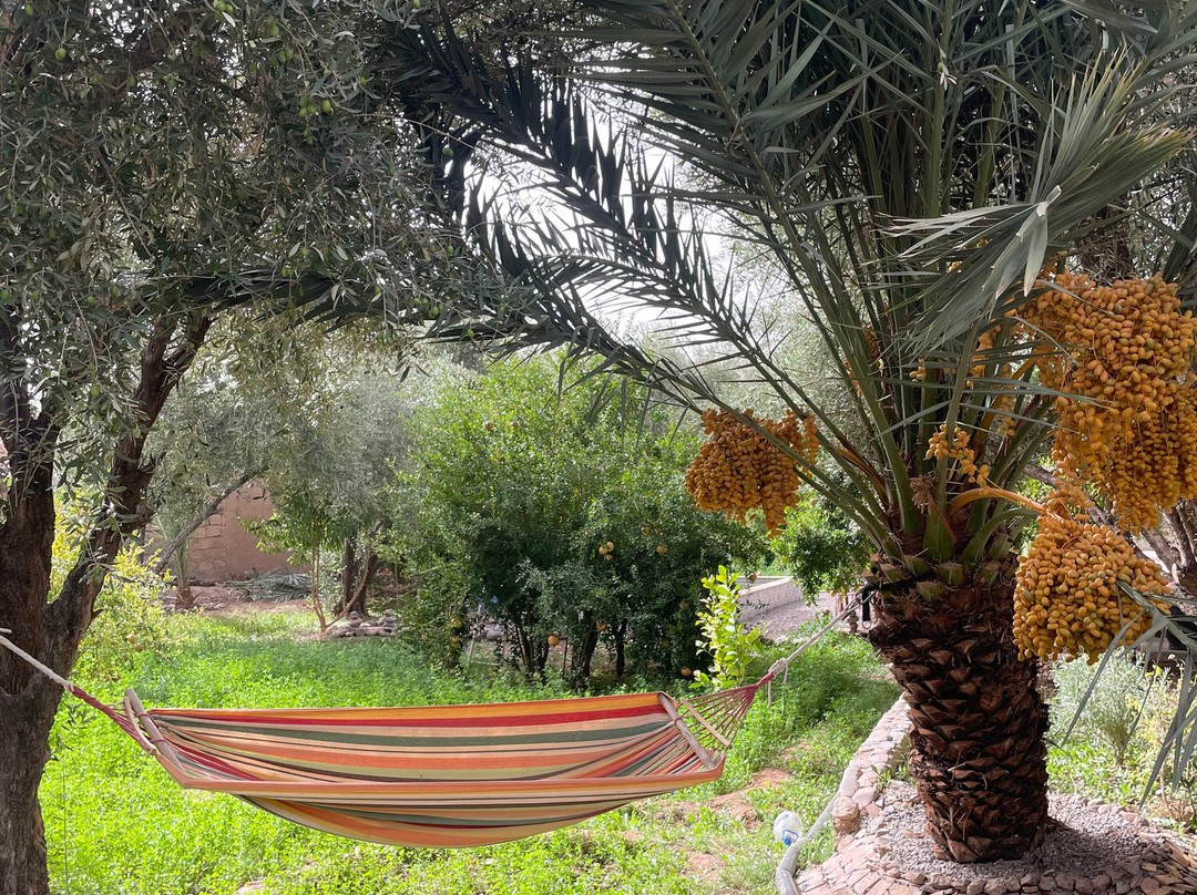 Yassine mazid-Skoura必去景点