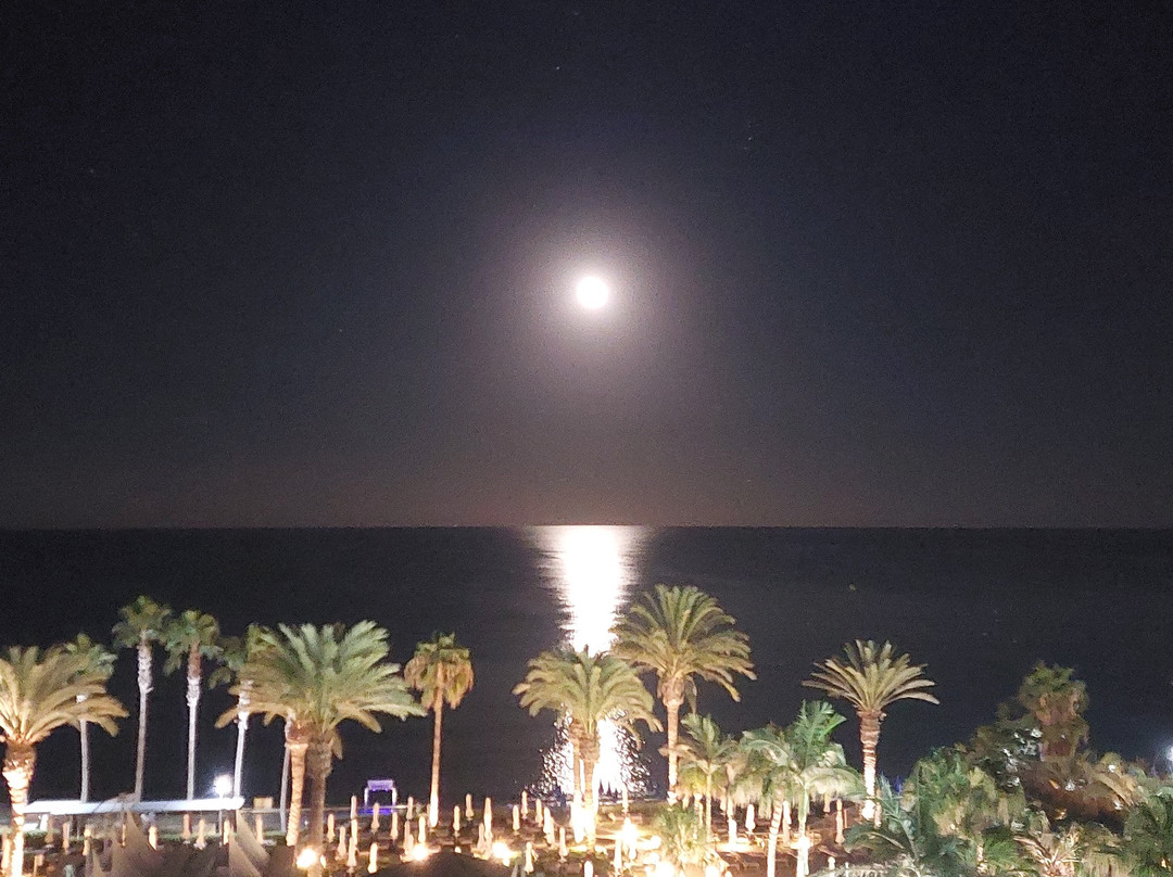 Sunrise Pearl Hotel & Spa主图