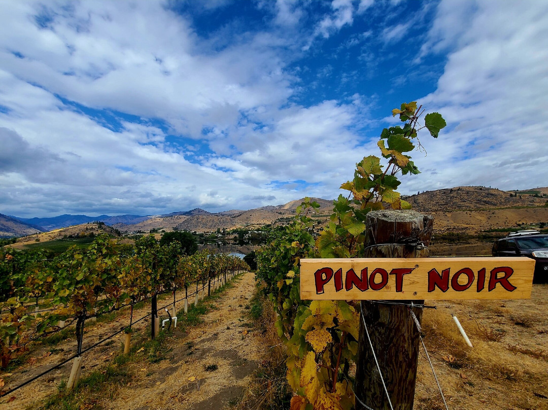 Lagriōth Winery at Chelan Valley Farms