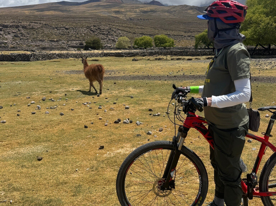 Nomada Experience-乌尤尼必去景点