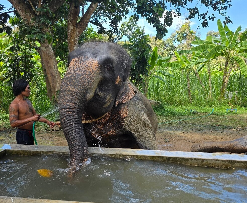 Samui Elephant Spa-苏梅岛必去景点