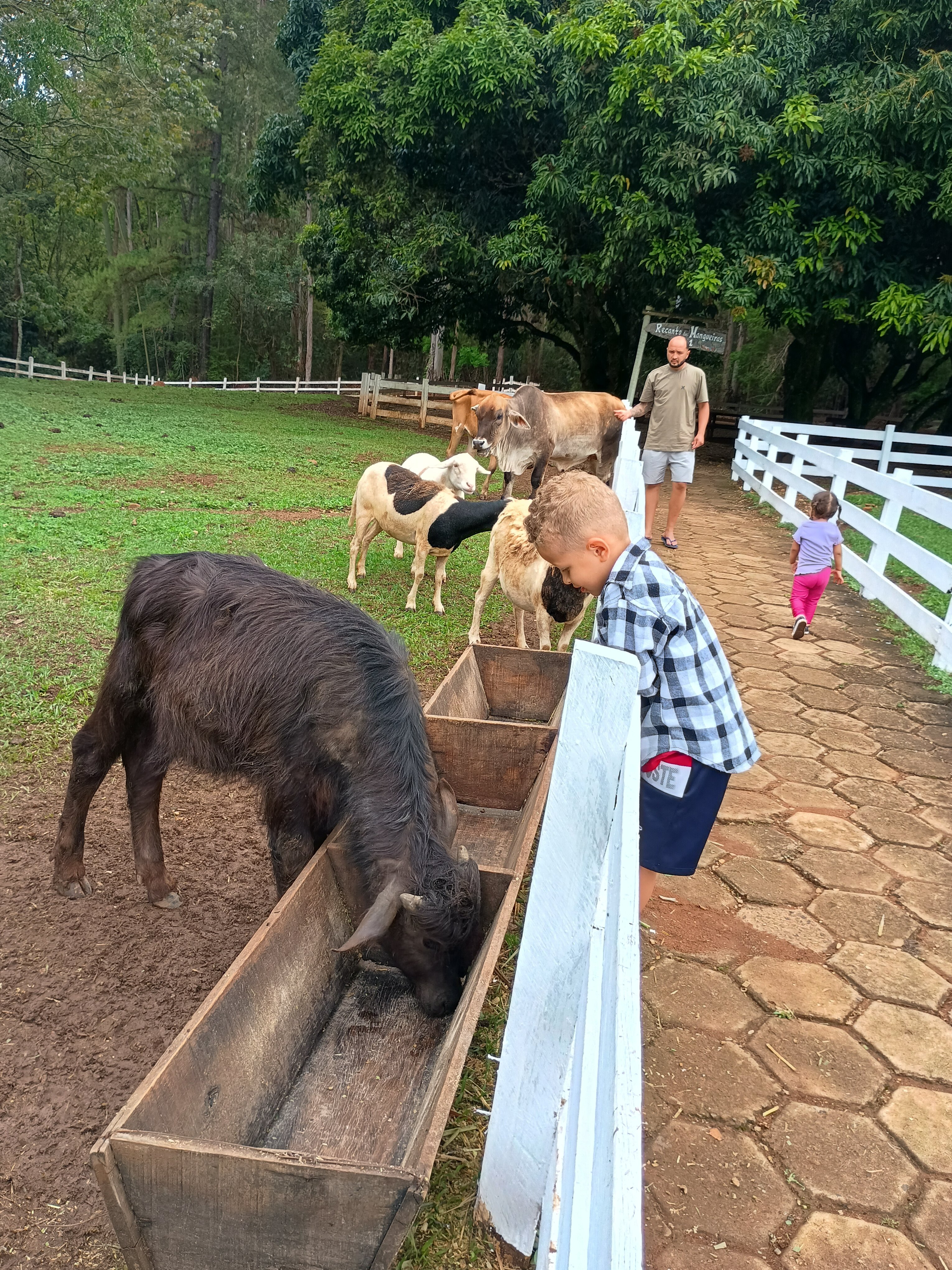 Hotel Fazenda M1-家庭/游戏区
