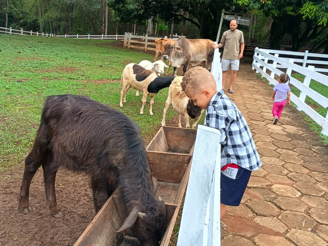 Hotel Fazenda M1主图