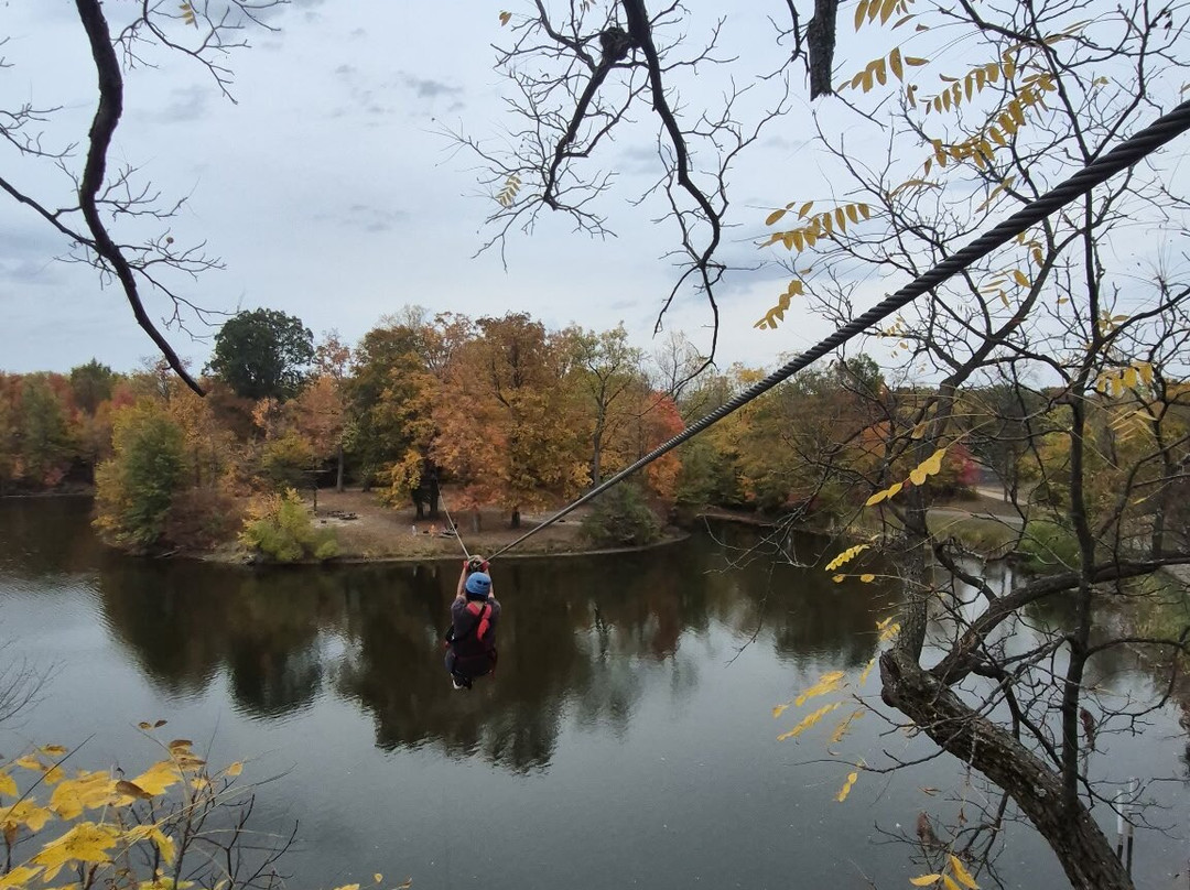 Zip Timber Lake-Huntington必去景点