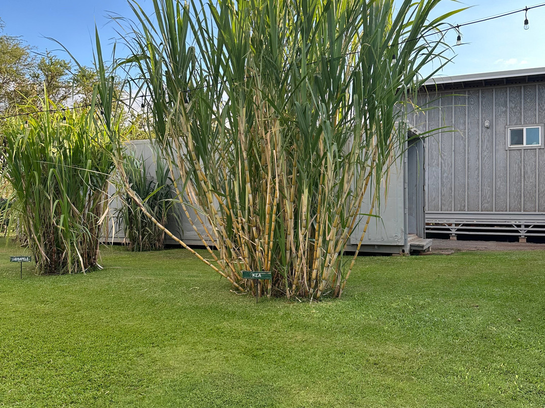 Ocean Vodka Organic Farm and Distillery-库拉必去景点