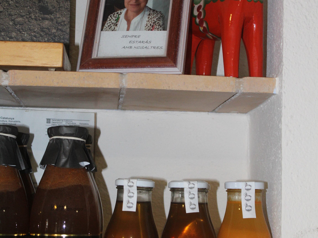 Abricoc-Fonteta必去景点