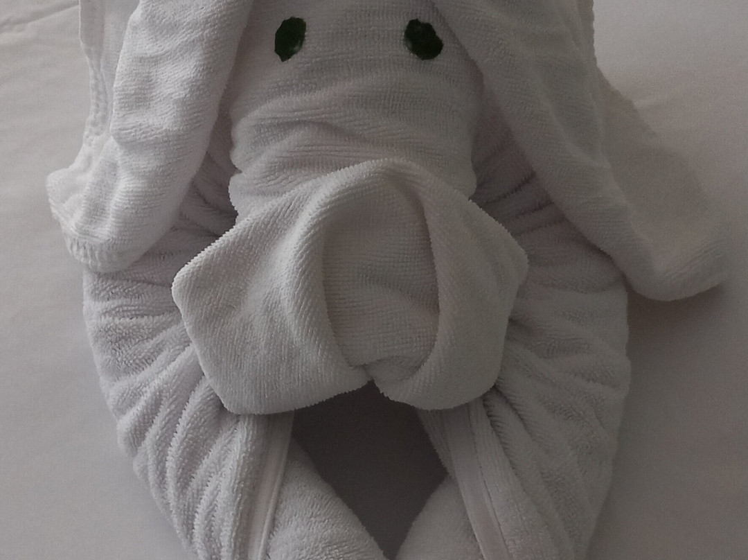 本托塔安凡尼度假酒店主图