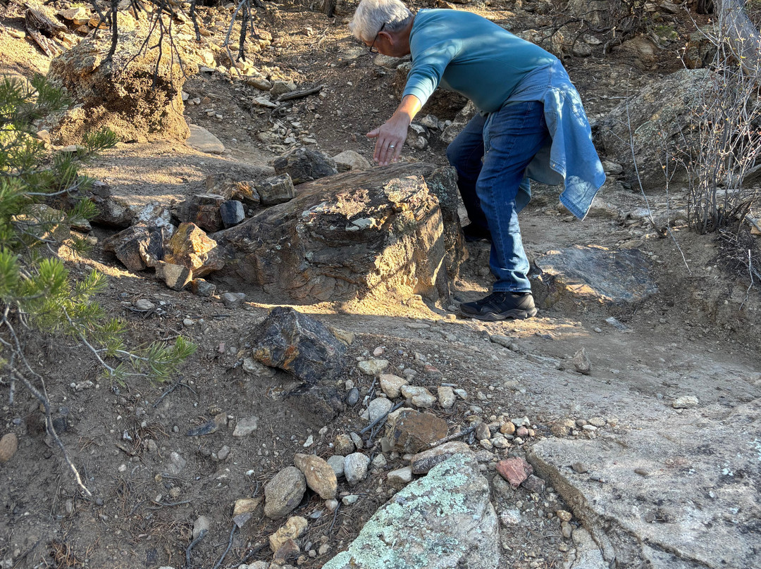 Escalante Petrified Forest State Park-埃斯卡兰特必去景点