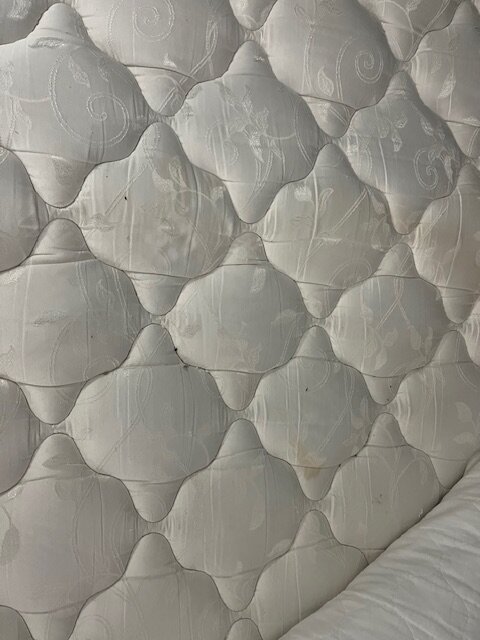 布罗克维尔贝斯特韦斯特SureStay酒店-客卧