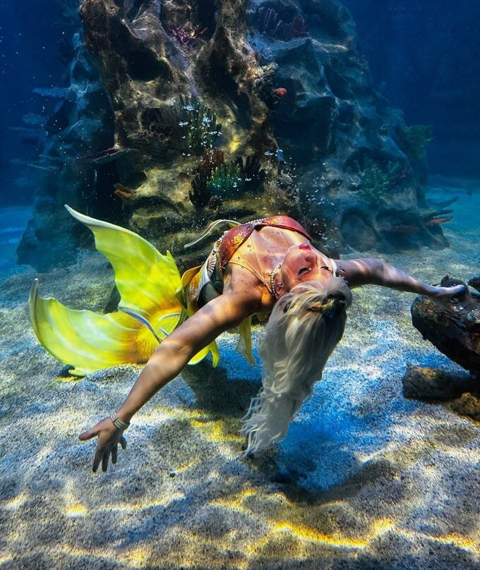 Blue Zoo Aquarium-西得梅因必去景点