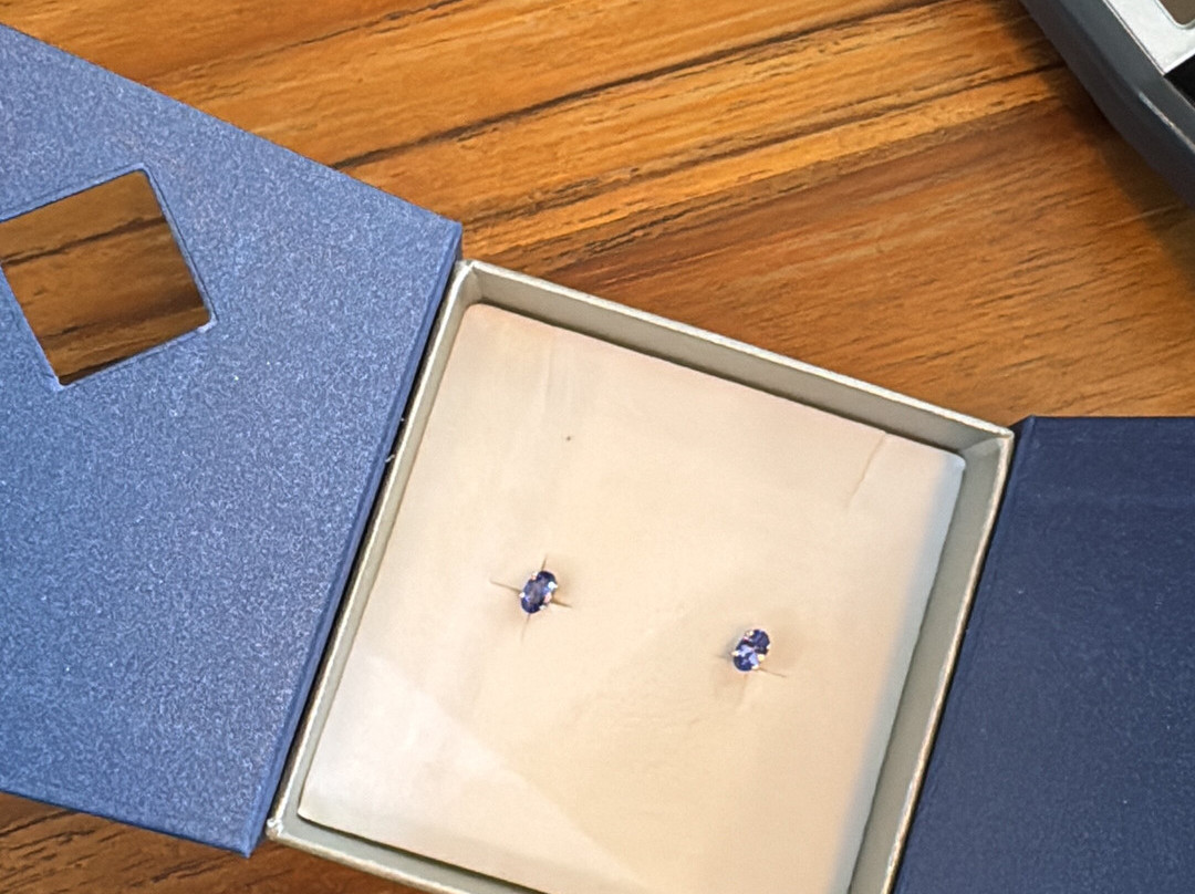 The Tanzanite Experience - Manyara Kibaoni-Mto wa Mbu必去景点