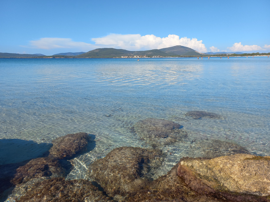 Spiaggia di Maria Pia-阿尔盖罗必去景点