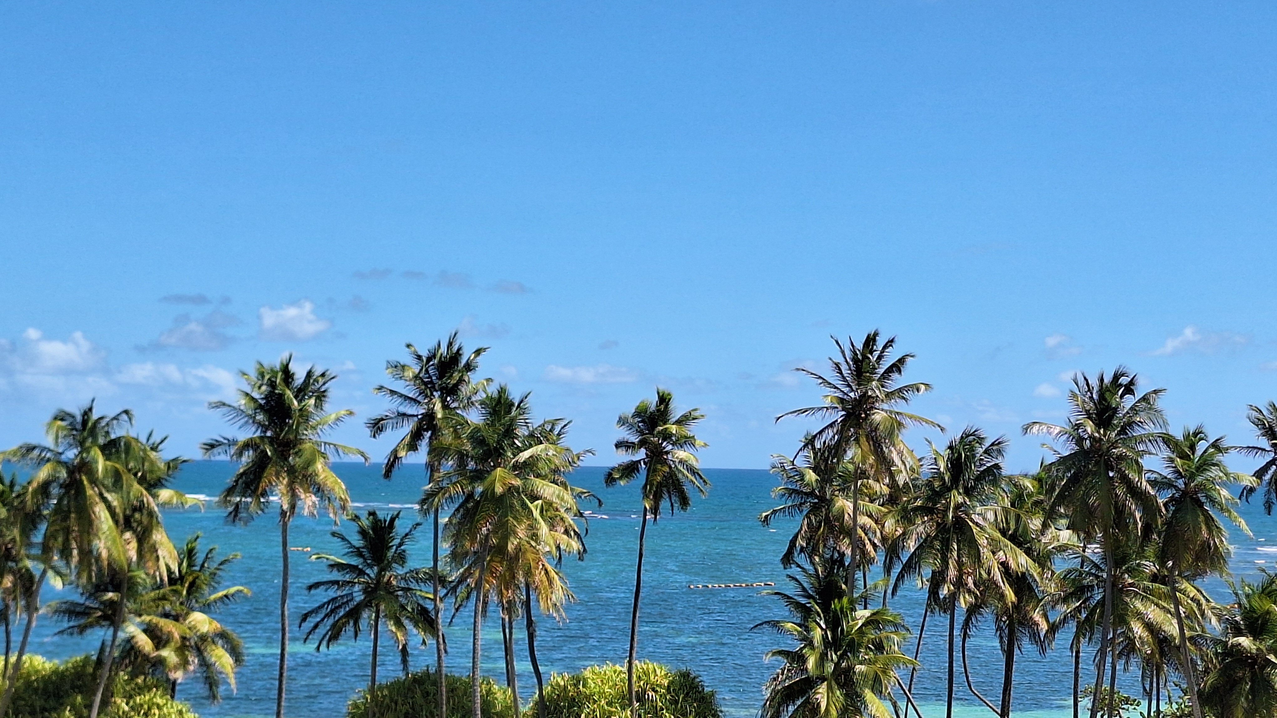 卡拉威岛地中海度假村-泳池